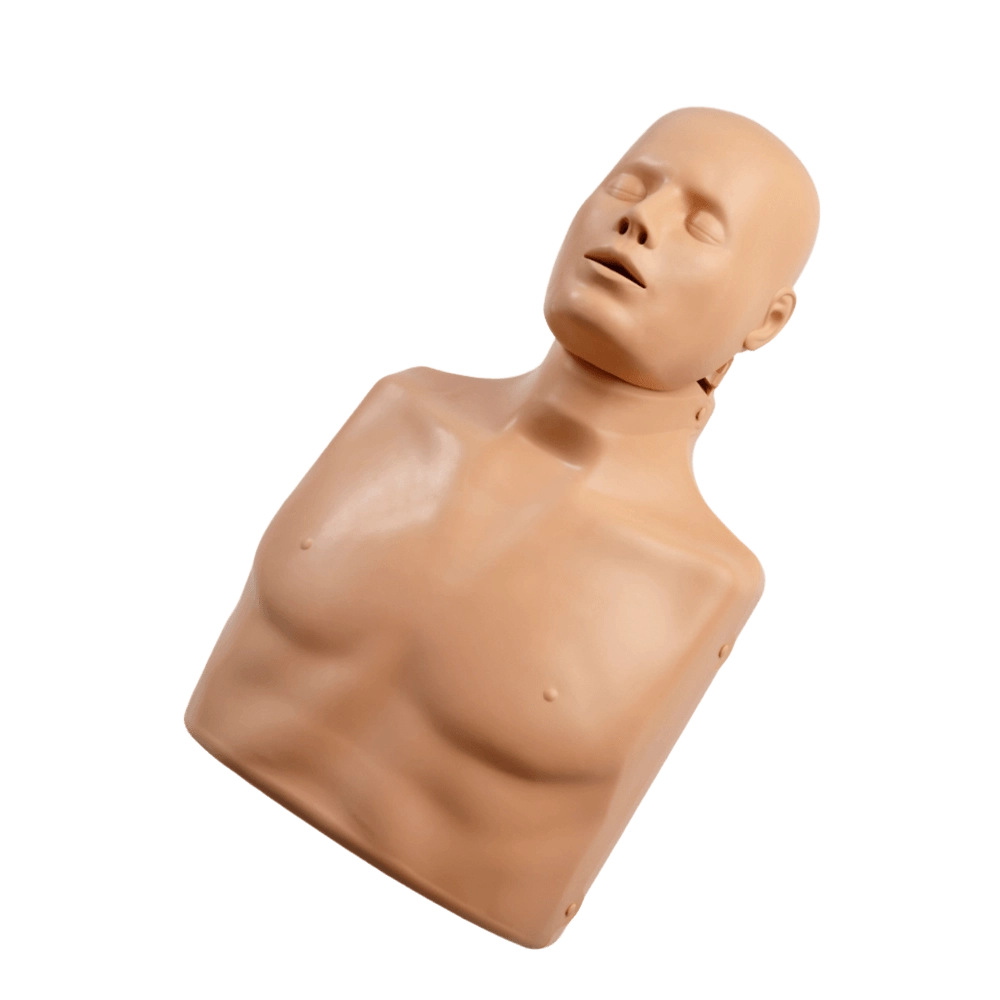 Torso para formación RCP Advance adulto
