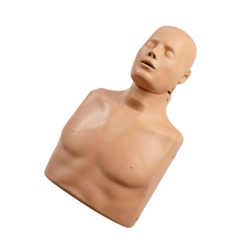 Torso para formación RCP Advance adulto
